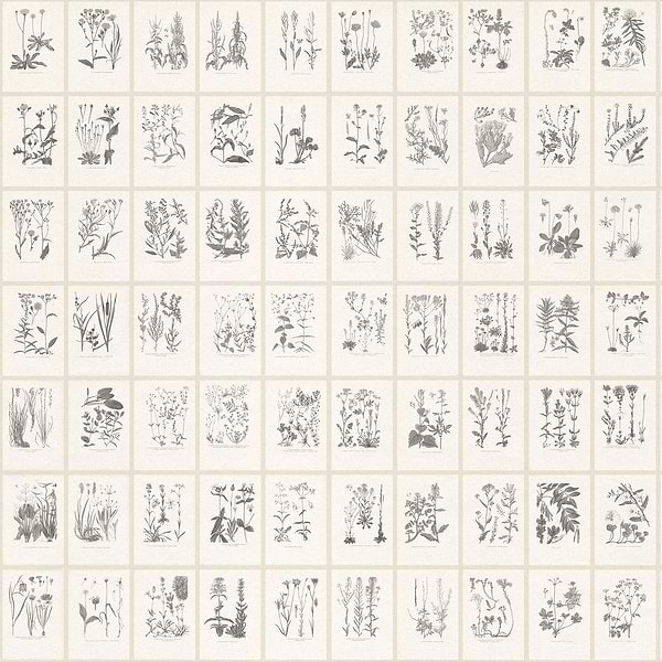 Botanica behang-Sandberg-Graphite-Mattic-M2-Selected Wallpapers-Interiors