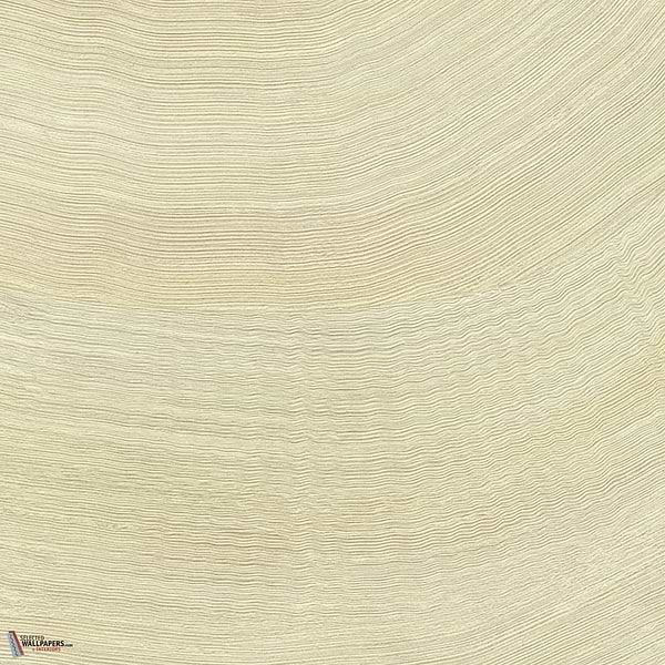 Calero wallpaper-Elitis-04-Roll-Selected Wallpapers-Interiors