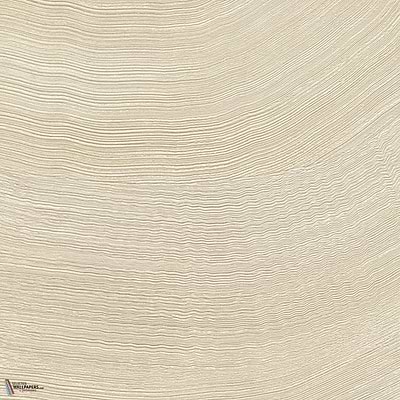 Calero wallpaper-Elitis-05-Roll-Selected Wallpapers-Interiors