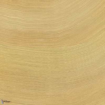 Calero wallpaper-Elitis-22-Roll-Selected Wallpapers-Interiors