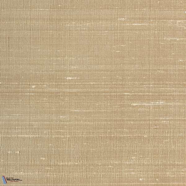 Chandra-Vescom-55-Meter (M1)-Selected-Wallpapers-Interiors