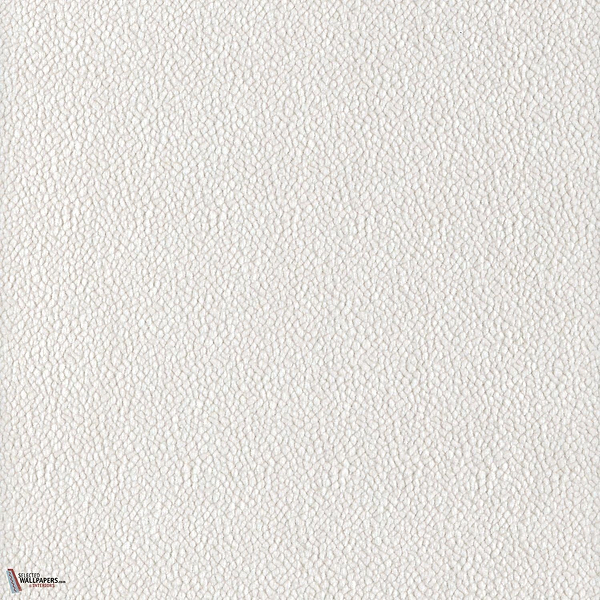 Blanc Pétale