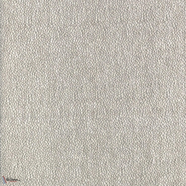 Gris Cendre