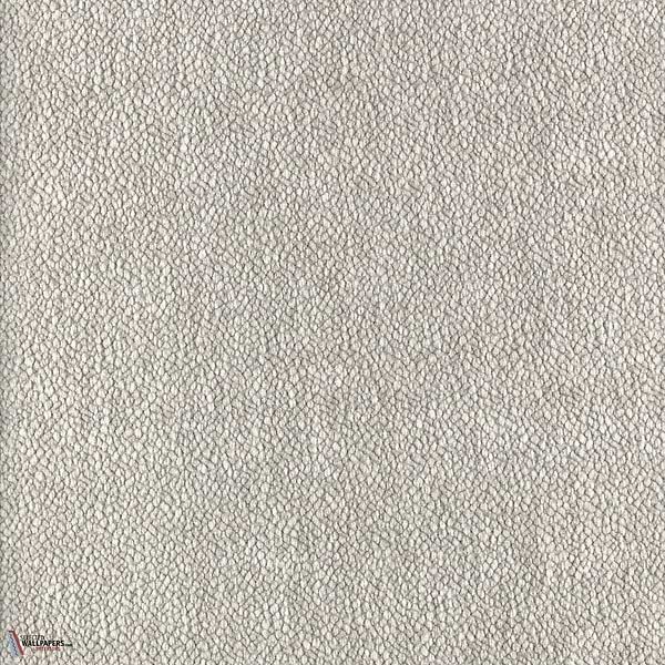 Gris Cendre