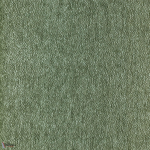Vert De Gris