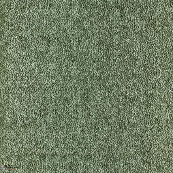 Vert De Gris