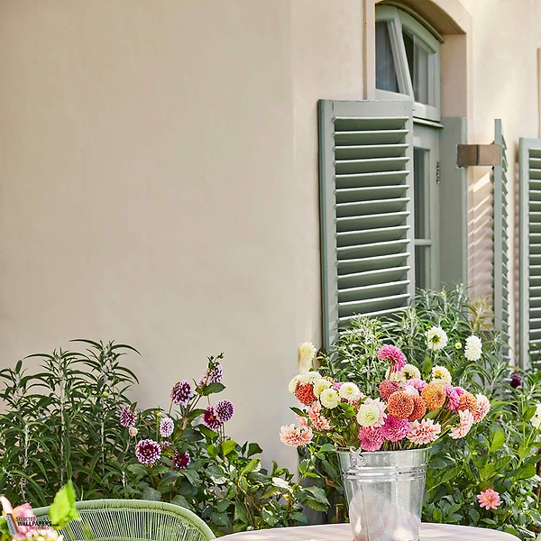 Clay-39-paint-verf-little-greene-exterior