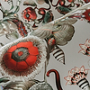 Coccinella Bella-Moooi-behang-tapete-wallpaper-Selected-Wallpapers-Interiors