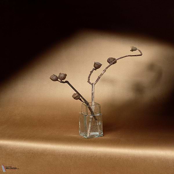 Cocoon behang-Elitis-Selected Wallpapers-Interiors