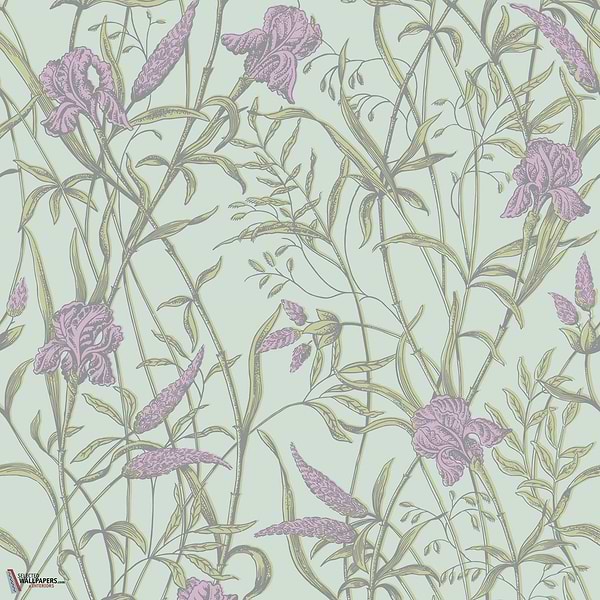 Iris behang Cole & Son