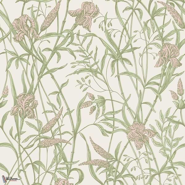 Iris behang Cole & Son
