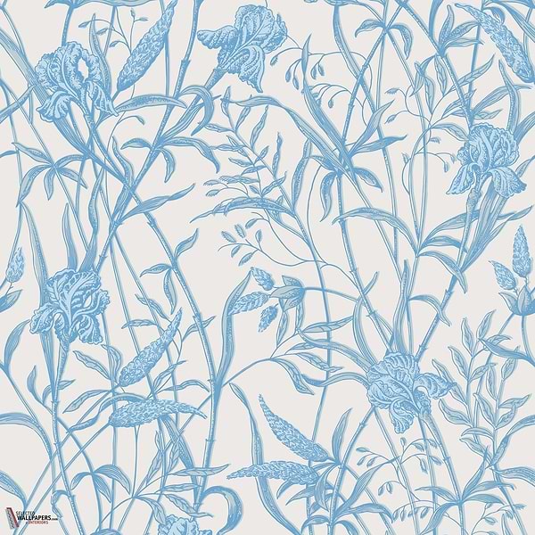 Iris behang Cole & Son