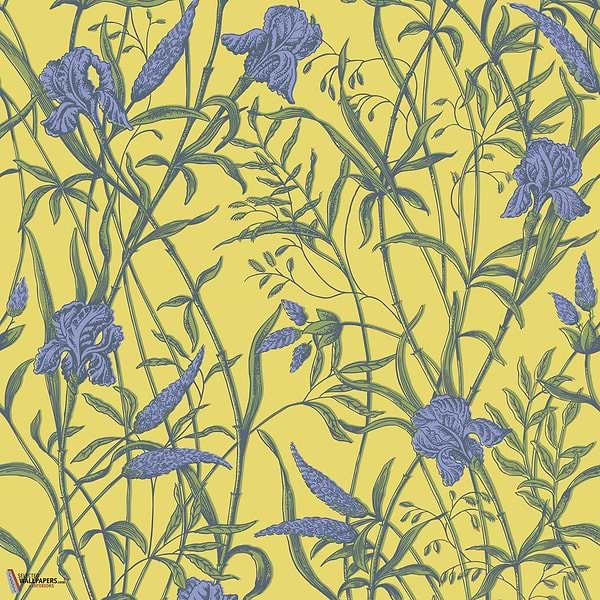 Iris behang Cole & Son