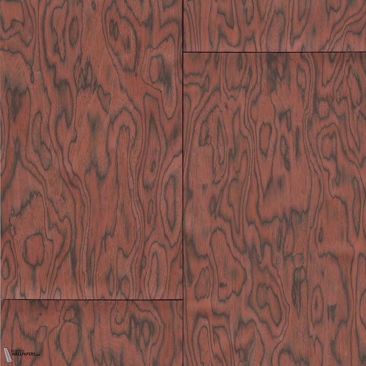 Coti behang-Arte-wallpaper-tapete-Fire Orange-Meter (M1)-Selected-Wallpapers-Interiors