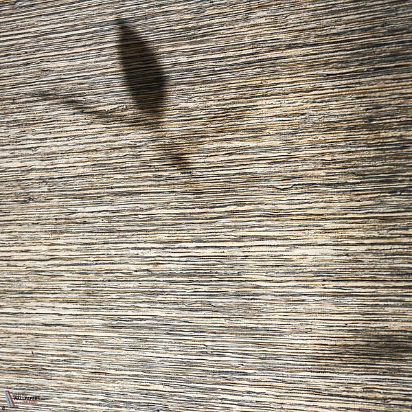 Crin de Soie Mural behang-CMO Paris-Selected Wallpapers-Interiors