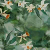 Daffodil Dream behang-Glamora-1-GlamDecor-M2-Selected Wallpapers-Interiors