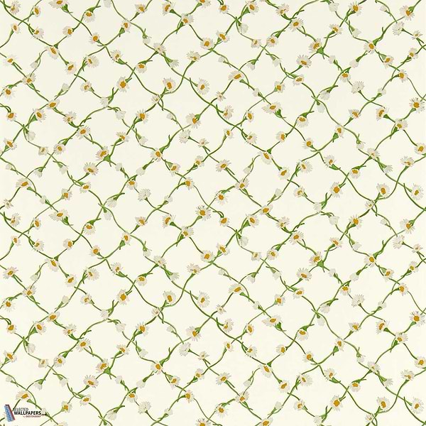 Daisy Trellis-Wallpaper-Harlequin-Emerald/Pearl-Roll-113043-Selected Wallpapers
