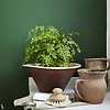 Dark Brunswick Green verf Little Greene 88-Selected-Wallpapers-Interiors