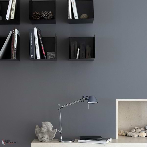 Dark Lead Colour verf Little Greene 118-Selected-Wallpapers-Interiors