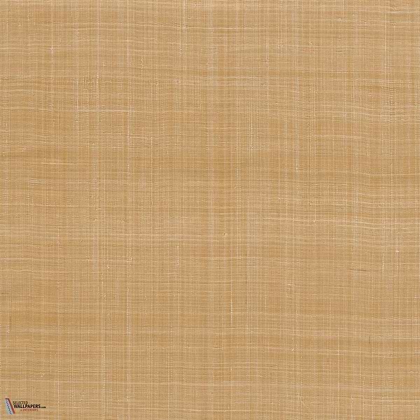 Diffuse behang-Arte-Burnt Orange-Meter (M1)-Selected Wallpapers-Interiors