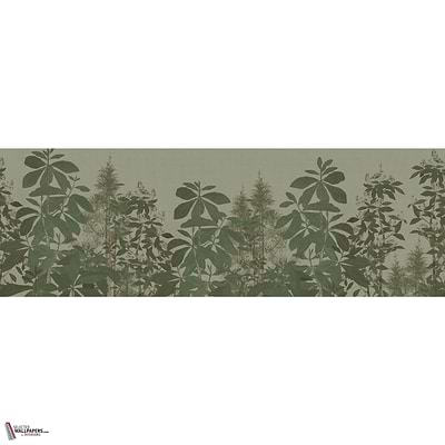 EDELWALD GLXV281 Combined Design