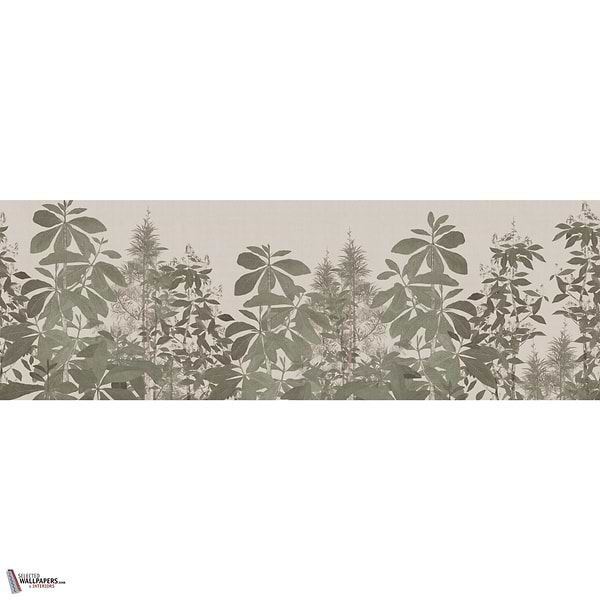 EDELWALD GLXV282 Combined Design