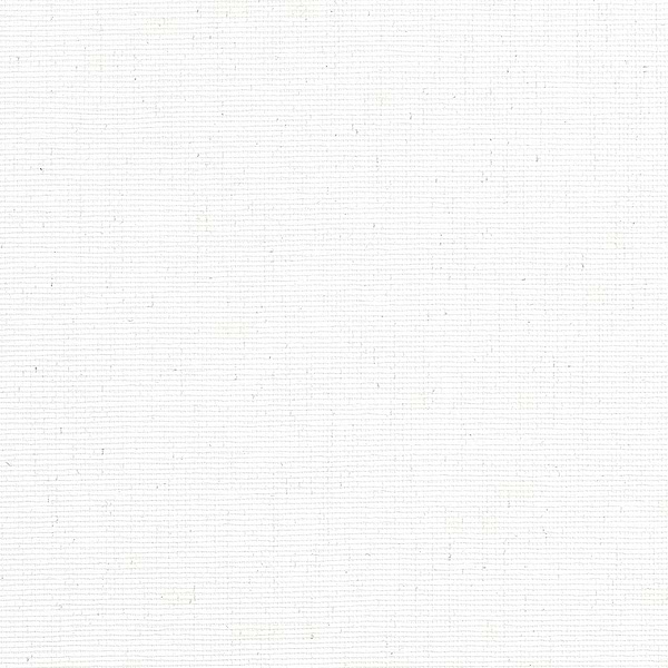 Edward´s Paper-Thibaut-White-Rol-Selected-Wallpapers-Interiors