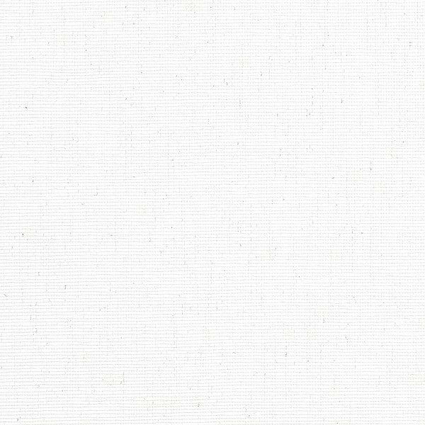 Edward´s Paper-Thibaut-White-Rol-Selected-Wallpapers-Interiors