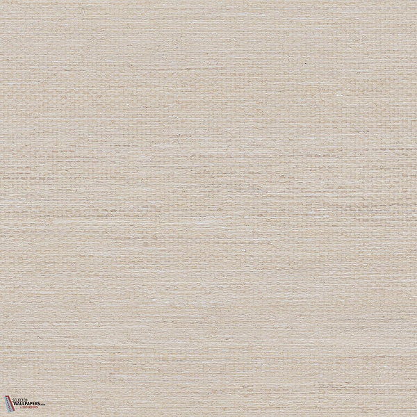 Electra ECP701 packshot