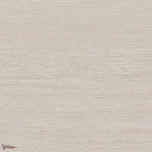 Electra ECP701 packshot