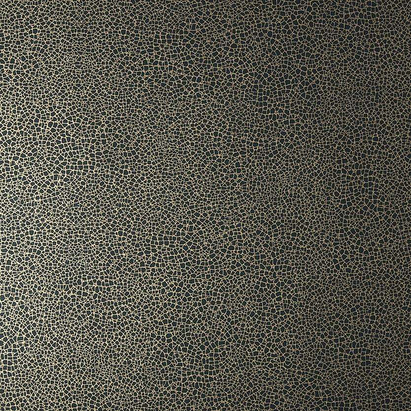Emile Tapete in Jet van 1838 wallcoverings
