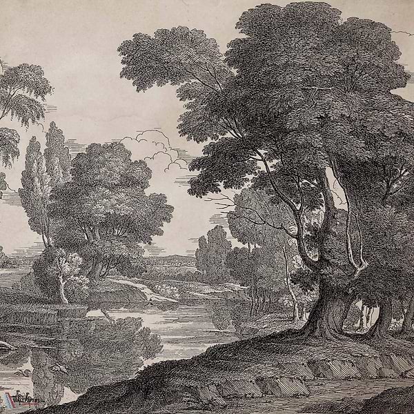 Engraving behang Coordonné-Coordonne-Ink-Non Woven-M2-Selected Wallpapers-Interiors