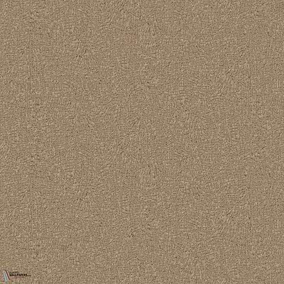 Estel ECP504 packshot