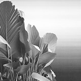 Etherea behang-behang-LondonArt-3-RAW-S120-M2-Selected Wallpapers & Interiors