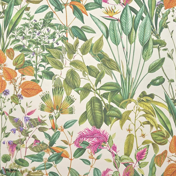 Fantaisie Tropicale behang-Pierre Frey-Vegetal-Meter (M1)-Selected Wallpapers-Interiors