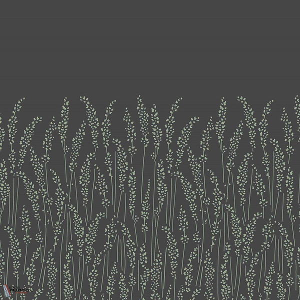 Feather Grass-Behang-Tapete-Farrow & Ball-Off Black-Rol-BP5106-Selected Wallpapers