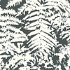 Fern behang-Little Greene-Off black-Rol-Selected Wallpapers-Interiors