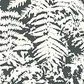 Fern behang-Little Greene-Off black-Rol-Selected Wallpapers-Interiors