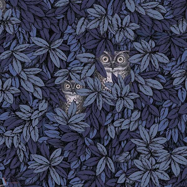 Foglie e Civette-behang-Tapete-Cole & Son-Midnight-Rol-123/11053-Selected Wallpapers