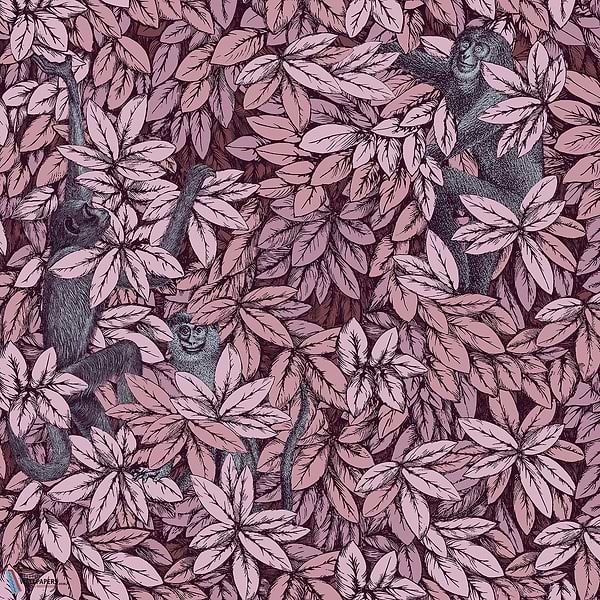 Foglie e Scimmie-behang-Tapete-Cole & Son-Blush with Blue-Rol-123/10048-Selected Wallpapers