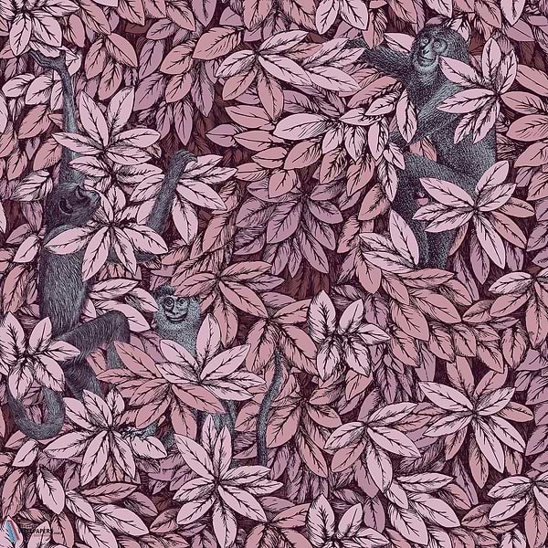 Foglie e Scimmie-behang-Tapete-Cole & Son-Blush with Blue-Rol-123/10048-Selected Wallpapers