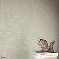 Fossil behang-Wall & Deco-Selected Wallpapers-Interiors