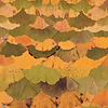 Ginko Biloba-Inkiostro Bianco-behang-tapete-wallpaper-Selected-Wallpapers-Interiors