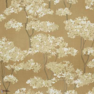 Hanara MIR501 packshot