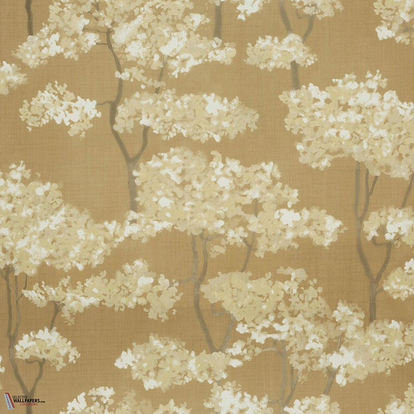 Hanara MIR501 packshot