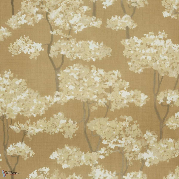 Hanara MIR501 packshot