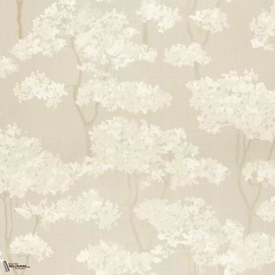 Hanara MIR502 packshot