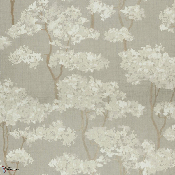 Hanara MIR503 packshot