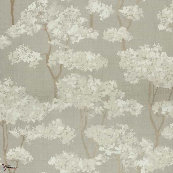 Hanara MIR503 packshot