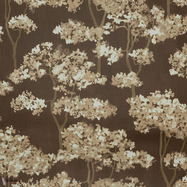 Hanara MIR504 packshot